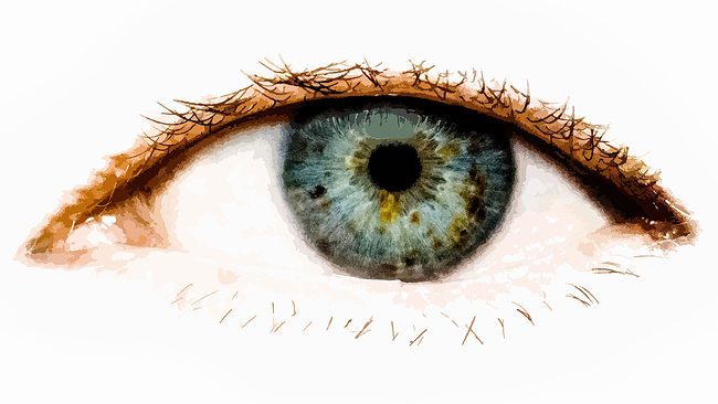 «Глаз человека - инструмент. Глаз художника - особый инструмент, настроенный на то, чтобы воспринимать мир, и, если иметь в виду «академическое зрение», как минимум, трёхмерно.»
Серж Головач © 2017